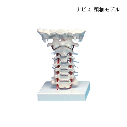 https://thumbnail.image.rakuten.co.jp/@0_mall/kaigo-hps/cabinet/powerdo-a17/1372-21275-1_1.jpg?_ex=500x500