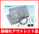 《あす楽対応》【アウトレット】テルモ 腕帯(布仕様) Lサイズ(XX-ES11L)《エレマーノ血圧計用腕帯》【テルモ血圧計・テルモエレマーノ・血圧測定・健康管理・テルモ腕帯】