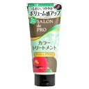 【3500円(税込)以上で送料無料】サロンドプロ カラートリートメントN < アッシュブラウン > 180g×3個セット (4904651182923)