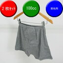 男性用 失禁パンツ(2枚セット) 【紳士100cc】(日本製)介護パンツ尿漏れ対策 下着【33015】尿もれ