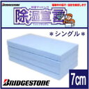 【送料無料】レビューで選べるプレゼント!【BRIDGESTONE】除湿シート商品画像