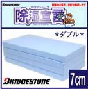 【送料無料】レビューで選べるプレゼント!【BRIDGESTONE】除湿シート商品画像