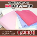 SALE 国産純毛カラー毛布シングル(140×200cm)日本製