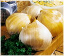 宮崎産ジャンボニンニク 種球 100g