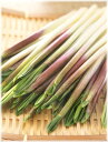 ギョウジャニンニク 地掘苗 10芽(入荷予定:2018年12...