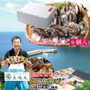 ギフト 活あわび 6個セット 香住育ち 贈り物 お歳暮 お中元 お祝い プレゼント お誕生日 ご懐妊祝い ご出産祝い のし対応 美嶋丸 着日時間帯指定可 【冷蔵便】