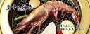 超特大!食べ応え抜群!皇帝の海老 天然シータイガー 1尾 約27cm【えび エビ 蝦】