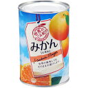 世界のめぐみ紀行 みかん 中国産 425g 4号缶×24個入り