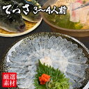 てっさ ふぐ刺し 3~4人前【大盛】 国産 とらふぐ 冷凍真空パック