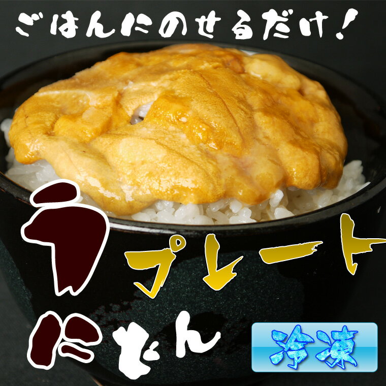 【うに】【ウニ】積丹ウニ丼プレート 【北海道からお届け】