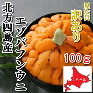 【訳あり】無添加 塩水うに100g北方四島産 エゾバフンウニ 北海道うに丼