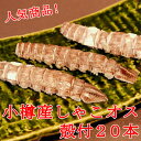 春シャコ 小樽産 オス 殻付20本 蝦蛄 しゃこ 北海道 海産物 お取り寄せ 海鮮 貰って嬉しい 贈答 贈物 海鮮小樽 ご飯 お酒 ビール 無添加 /クール便