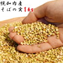 【全品ポイント2倍】【SALE】送料無料 そばの実 国産 1...