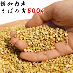 ＼まとめ買い最大15%OFFクーポン／北海道 幌加内産 そばの実 国産 500g 令和5年 2023年産 送料無料 新そば 新物 <strong>蕎麦の実</strong> 栄養 1000円ポッキリ 新物 ポイント消化 正月太り スーパーフード むき実 剥き実 ヌキ実 ご飯 無添加 お取り寄せグルメ メール便