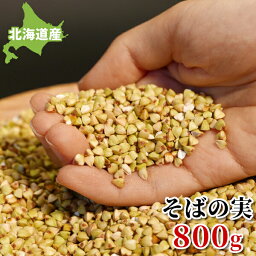 ＼まとめ買い最大15%OFFクーポン／そばの実 国産 800g 北海道 幌加内産 令和5年 2023年産 送料無料 レジスタントプロテイン <strong>蕎麦の実</strong> 栄養 スーパーフード むき実 剥き実 ヌキ実 ご飯 無添加 お取り寄せグルメ メール便