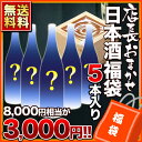 店長お任せ日本酒福袋5本入同一商品のみ2セットまで1配送でお届けします北海道・沖縄・離島は送料無料対象外です。