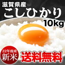 【11月15日〜11月19日の出荷予定】【送料無料】新米!【22年産】滋賀県産コシヒカリ10kg30kgまで1配送でお届けします北海道・沖縄・離島は送料無料対象外です