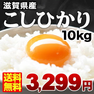 滋賀県産コシヒカリ10kg30kgまで1配送でお届けします北海道・沖縄・離島は送料無料対象外です