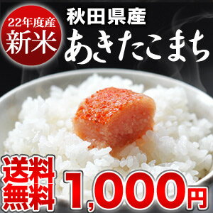 【10月22日出荷開始】【送料無料】22年産新米　秋田県産あきたこまち白米3kg30kg