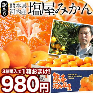 熊本県河内産 訳あり塩屋みかん2.5kg[予約商品]［2箱購入で送料無料］［3箱購入で1箱おまけつき］［5箱購入で3箱おまけつき］佐川常温便でお届け北海道・沖縄・離島は送料無料の対象外