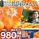 熊本県河内産 訳あり塩屋みかん2.5kg[予約商品]［2箱購入で送料無料］［3箱購入で1箱おまけつき］［5箱購入で3箱おまけつき］佐川常温便でお届け北海道・沖縄・離島は送料無料の対象外熊本県河内産訳あり塩屋みかん/2箱購入で送料無料