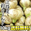 淡路産 新たまねぎ 10kg［S〜2Lサイズ個数お任せ］1箱［10kg］1配送でお届けします佐川常温便でお届け［予約販売］北海道・沖縄・離島は送料無料の対象外です