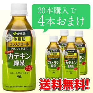 伊藤園 カテキン緑茶 2つの働き 350mlPET×20本＋4本おまけ付 ［賞味期限：4ヶ月以上］北海道・沖縄・離島は送料無料対象外です同一商品のみ3ケースまで1配送でお届けします【8月24日出荷開始】【送料無料】緑茶/カテキン緑茶/伊藤園/2つの働き/おまけ付/特定保健用食品/トクホ/送料無料