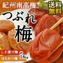 紀州南高梅つぶれ梅熊野三山巡礼梅 1.6kgセット[しそ漬け梅・はちみつ梅]選り取り2セットまで1配送でお届け北海道・沖縄・離島は送料無料の対象外【4月20日出荷開始】【送料無料】