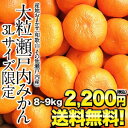 大粒瀬戸内みかん3Lサイズ限定 約8〜9kg［産地おまかせ］佐川常温便でお届け1箱[約8〜9kg]1配送でお届け北海道・沖縄・離島は送料無料の対象外です瀬戸内みかん/和歌山/3Lサイズ/大粒/送料無料