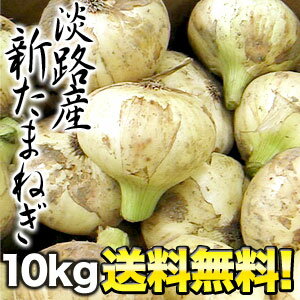 [予約販売]淡路島産新たまねぎ　10kg［約27〜40玉］ 1箱［10kg］1配送でお届けします佐川常温便でお届け 北海道・沖縄・離島は送料無料の対象外です淡路産新たまねぎ/野菜/送料無料