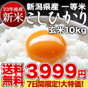 ［23年産新米］新潟県産こしひかり 玄米 10kg30kgまで1配送でお届けします北海道・沖縄・離島は送料無料対象外です23年度新米/玄米10kg/新潟県産/こしひかり/送料無料