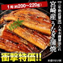 宮崎産 八本木樽醤油たれ うなぎ蒲焼 1尾[約200〜220g]クール[冷凍]便でお届け10尾まで1配送でお届け鰻/ウナギ/うなぎ/蒲焼/宮崎県産