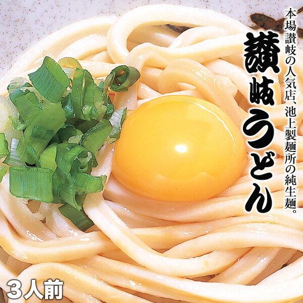 池上製麺所　るみばあちゃん監修！！純生讃岐うどん3人前セット［うどん300g×1袋＋だし醤…...:kaisenshop:10008306