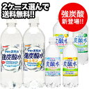 サンガリア 天然水炭酸水 500mlPET×24本×2ケース...