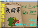 【新米】【送料無料】【減農薬】【無洗米対応】【29