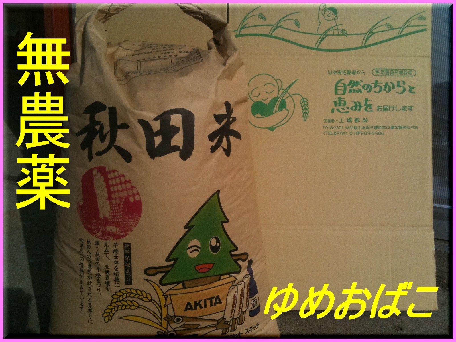 [送料無料][無農薬]「無洗米対応」[23年秋田県産]淡麗もちもち「ゆめおばこ」30kg（30kg×1袋）10P123Aug12割安な1袋でお届け！！無薬栽培で丹精込めて育てました！！！　