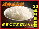 【新米】【送料無料】【減農薬】【29年産】【秋田県
