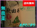 【新米】【送料無料】【無農薬玄米】【無洗米対応】【29年産】【秋田県産】安心で美味しいあきたこまち25kg×1袋