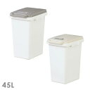 【送料無料】ゴミ箱 ホーム アンド ホーム HOME&HOME【ダストボックス ごみ箱 フタ付き スリム 分別 45リットル 45l スリム キッチン 北欧 テイスト ナチュラル キッチン 台所 おしゃれ 雑貨 かわいい 家具 新生活 インテリア】