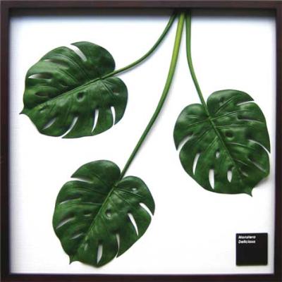 モダン空間を演出する。リーフアートパネル[リーフパネル]F-style Frame［Monstera deliciosa］IFF-10026【FS_708-8】 5P_0502