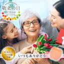 【ギフトラッピング無料/ポイント5倍中】フットグルーマーグラ...