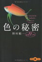 【中古】色の秘密 最新色彩学入門 (文春文庫PLUS)/野村 順一