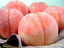 　山梨県産　白桃　4kg　　全国屈指の桃源郷で育てられた桃の逸品！甘くてジューシーな味わいが大人気！　出荷期間：8月上旬〜下旬の間　