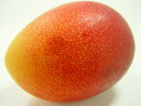 【送料無料】宮崎県産完熟マンゴー・大玉1個　マンゴーの中で完熟マンゴーと呼ばれるにふさわしい美味しさ！甘くて濃厚な味のマンゴーの最高級品　【お中元におすすめ】　マラソン1207P10