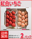 福岡産紅白いちごあまおう＆淡雪2パック ランキングお取り寄せ