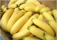 送料無料バナナ　約6キロ箱楽天最安値に挑戦！