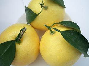 ܺ긩ǰäơʤҤ夦ʤġ12̥եȢ