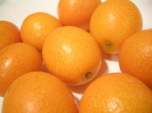 ܺ긩Ϥ󤫤֥ɤޤ뤫ʿ16٢1Ȣ