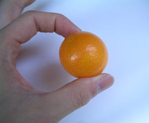 ܺ긩Ϥ󤫤ǹ֥ɤޤʿ18٢3Ȣ