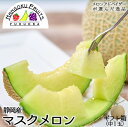 【送料無料】 静岡産 マスクメロン 1玉 ギフト箱